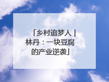 乡村追梦人｜林丹：一块豆腐的产业逆袭