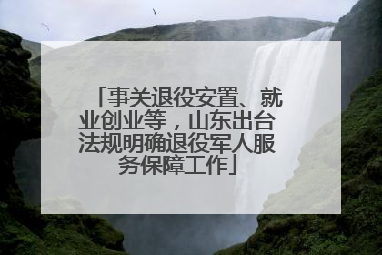 事关退役安置、就业创业等，山东出台法规明确退役军人服务保障工作