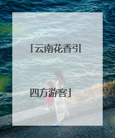 云南花香引四方游客