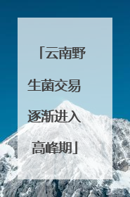 云南野生菌交易逐渐进入高峰期