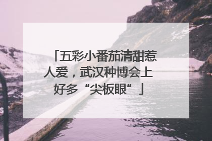 五彩小番茄清甜惹人爱，武汉种博会上好多“尖板眼”