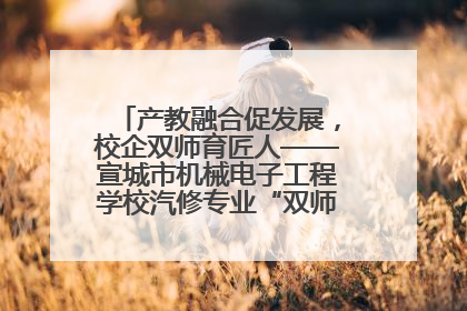 产教融合促发展，校企双师育匠人——宣城市机械电子工程学校汽修专业“双师”教学月活动收官