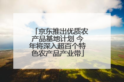 京东推出优质农产品基地计划 今年将深入超百个特色农产品产业带
