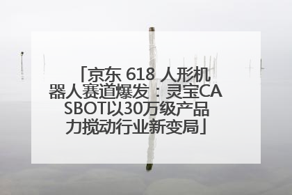 京东 618 人形机器人赛道爆发：灵宝CASBOT以30万级产品力搅动行业新变局