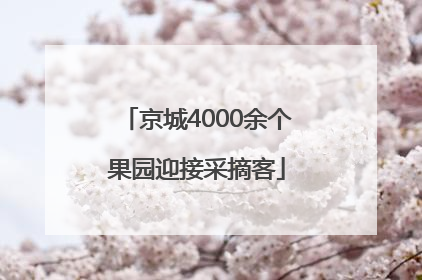 京城4000余个果园迎接采摘客