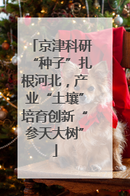 京津科研“种子”扎根河北，产业“土壤”培育创新“参天大树”