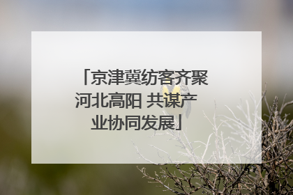 京津冀纺客齐聚河北高阳 共谋产业协同发展