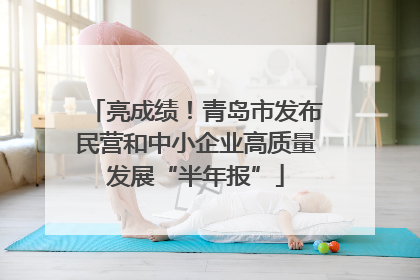 亮成绩！青岛市发布民营和中小企业高质量发展“半年报”