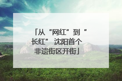 从“网红”到“长红” 沈阳首个非遗街区开街