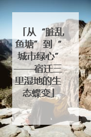 从“脏乱鱼塘”到“城市绿心”——宿迁三里湿地的生态蝶变