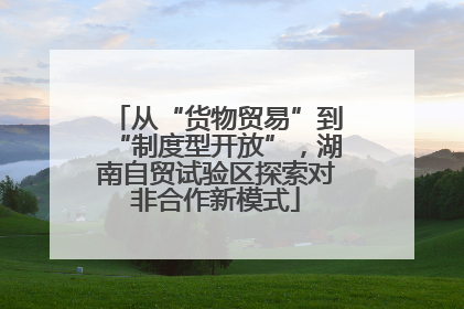 从“货物贸易”到“制度型开放”，湖南自贸试验区探索对非合作新模式