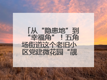 从“隐患地”到“幸福角”！五角场街道这个老旧小区党建微花园“靓”出幸福新图景