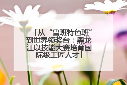 从“鲁班特色班”到世界领奖台：黑龙江以技能大赛培育国际级工匠人才