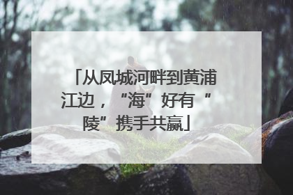 从凤城河畔到黄浦江边，“海”好有“陵”携手共赢