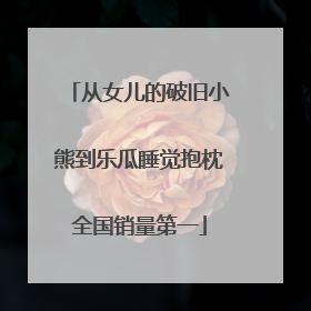 从女儿的破旧小熊到乐瓜睡觉抱枕全国销量第一