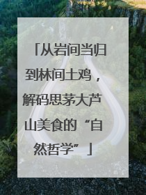从岩间当归到林间土鸡，解码思茅大芦山美食的“自然哲学”