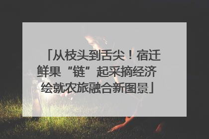 从枝头到舌尖！宿迁鲜果“链”起采摘经济绘就农旅融合新图景