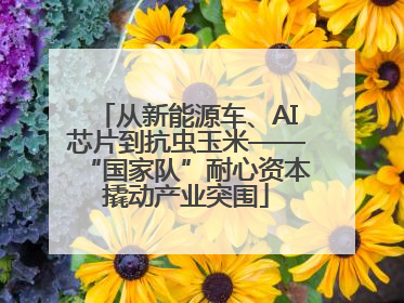 从新能源车、AI芯片到抗虫玉米——“国家队”耐心资本撬动产业突围