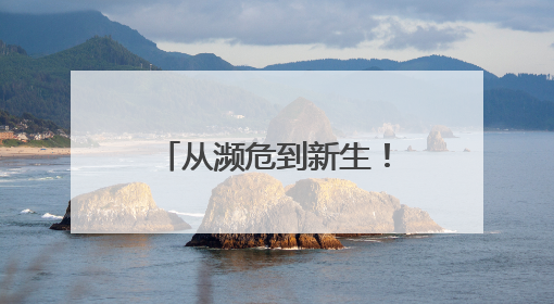 从濒危到新生！人工繁育+野外保护让中国绿孔雀走上种群逆袭之路