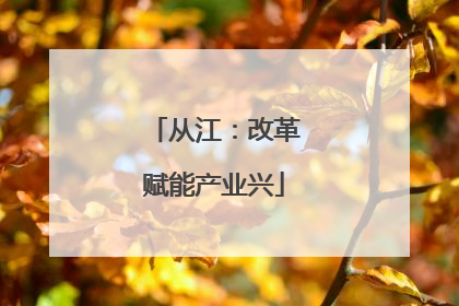 从江：改革赋能产业兴