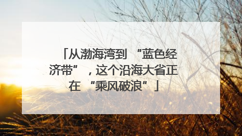 从渤海湾到 “蓝色经济带”，这个沿海大省正在 “乘风破浪”