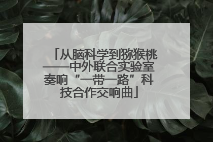 从脑科学到猕猴桃——中外联合实验室奏响“一带一路”科技合作交响曲