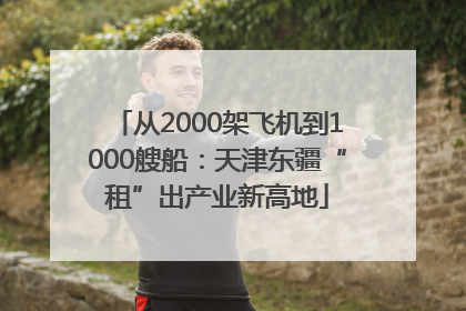 从2000架飞机到1000艘船：天津东疆“租”出产业新高地