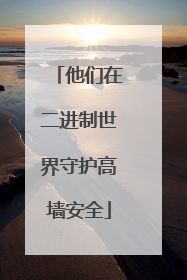 他们在二进制世界守护高墙安全