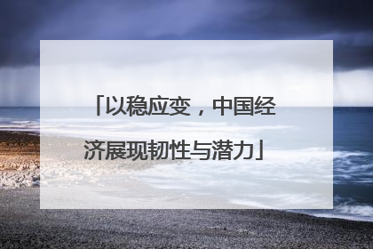 以稳应变，中国经济展现韧性与潜力