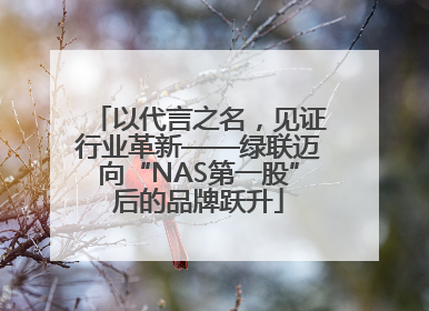以代言之名，见证行业革新——绿联迈向“NAS第一股”后的品牌跃升