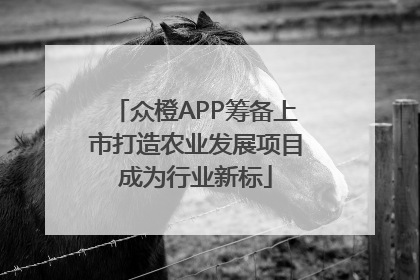 众橙APP筹备上市打造农业发展项目成为行业新标
