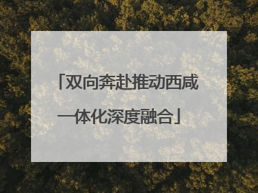 双向奔赴推动西咸一体化深度融合