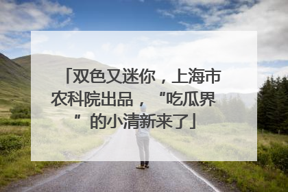 双色又迷你，上海市农科院出品，“吃瓜界”的小清新来了