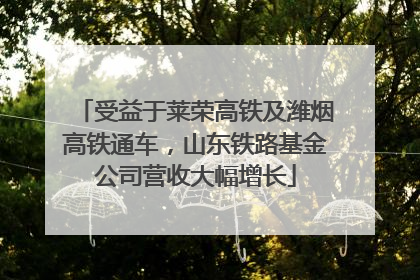 受益于莱荣高铁及潍烟高铁通车，山东铁路基金公司营收大幅增长
