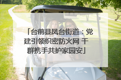 台前县凤台街道：党建引领织密防火网 干群携手共护家园安