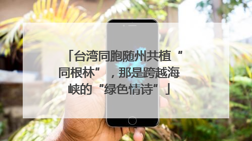 台湾同胞随州共植“同根林”，那是跨越海峡的“绿色情诗”