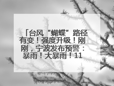 台风“蝴蝶”路径有变！强度升级！刚刚，宁波发布预警：暴雨！大暴雨！11级大风！