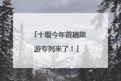 十堰今年首趟旅游专列来了！