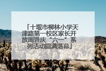 十堰市柳林小学天津路第一校区家长开放周暨庆“六一”系列活动圆满落幕