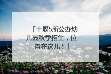 十堰5所公办幼儿园秋季招生，位置在这儿！