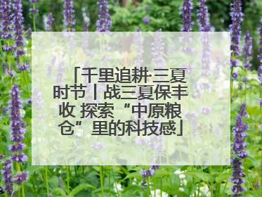 千里追耕·三夏时节丨战三夏保丰收 探索“中原粮仓”里的科技感