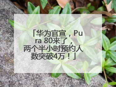 华为官宣，Pura 80来了，两个半小时预约人数突破4万！