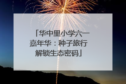 华中里小学六一嘉年华：种子旅行解锁生态密码