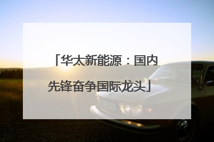 华太新能源：国内先锋奋争国际龙头
