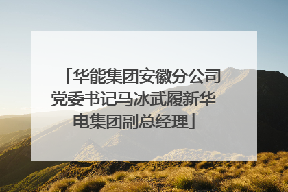华能集团安徽分公司党委书记马冰武履新华电集团副总经理