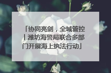 协同亮剑，全域管控丨潍坊海警局联合多部门开展海上执法行动