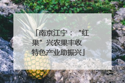 南京江宁：“红果”兴农果丰收 特色产业助振兴
