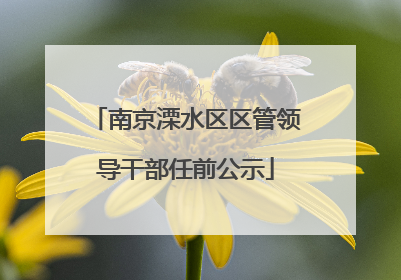 南京溧水区区管领导干部任前公示