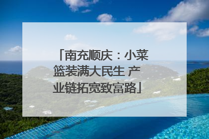 南充顺庆：小菜篮装满大民生 产业链拓宽致富路