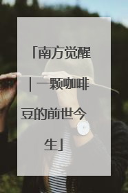 南方觉醒｜一颗咖啡豆的前世今生